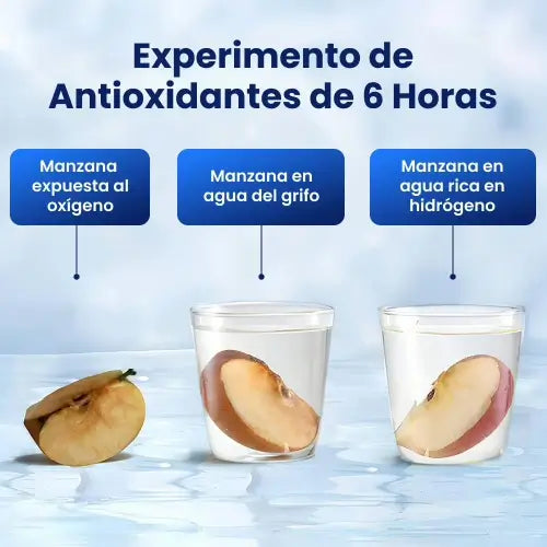 AliveBlue™: Tu botella de agua con poder antioxidante para energía y piel saludable