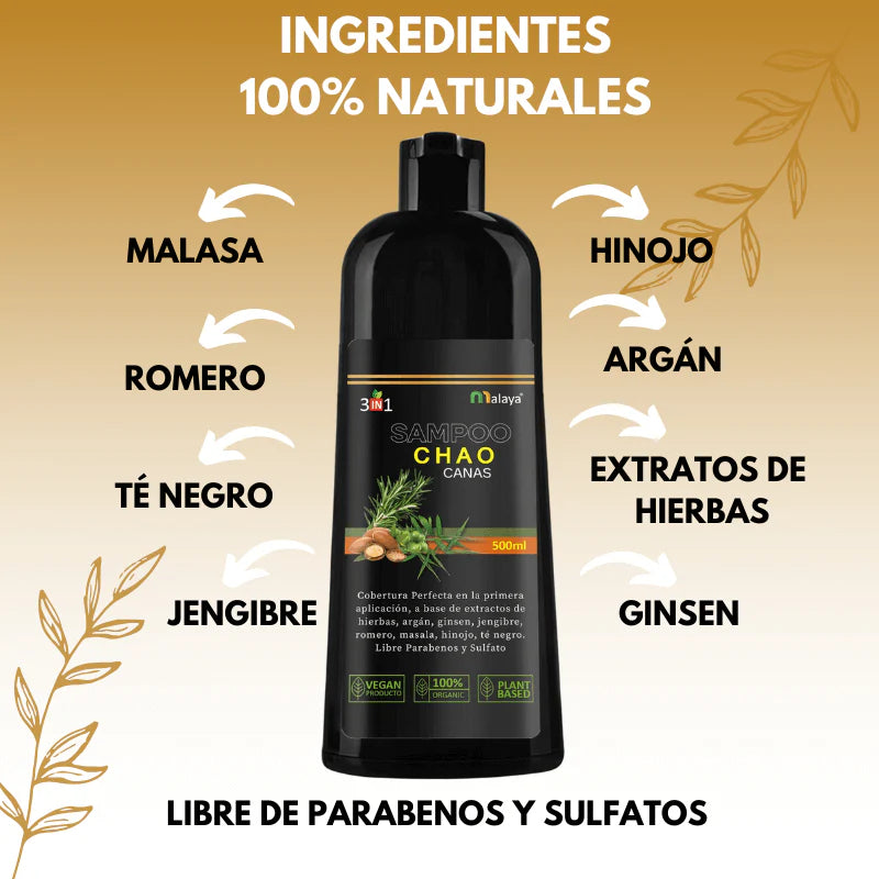 Encabezado