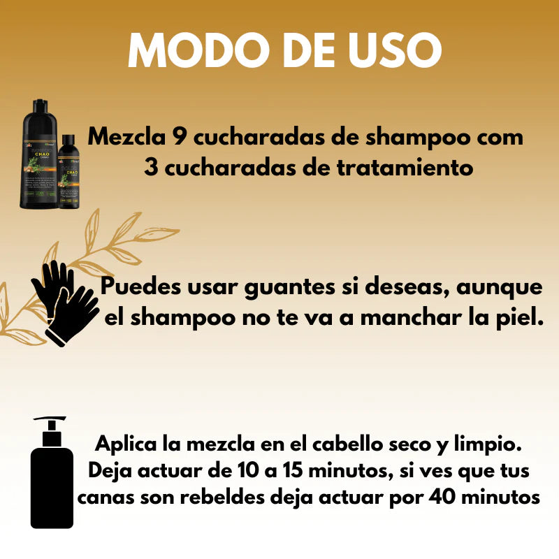 Encabezado