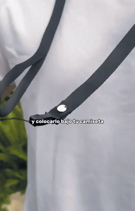 Encabezado