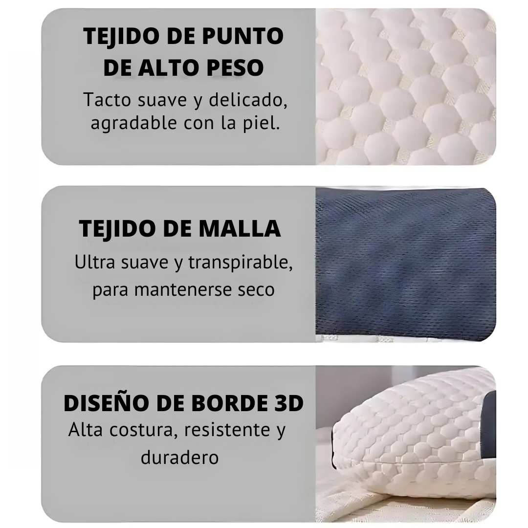 Encabezado
