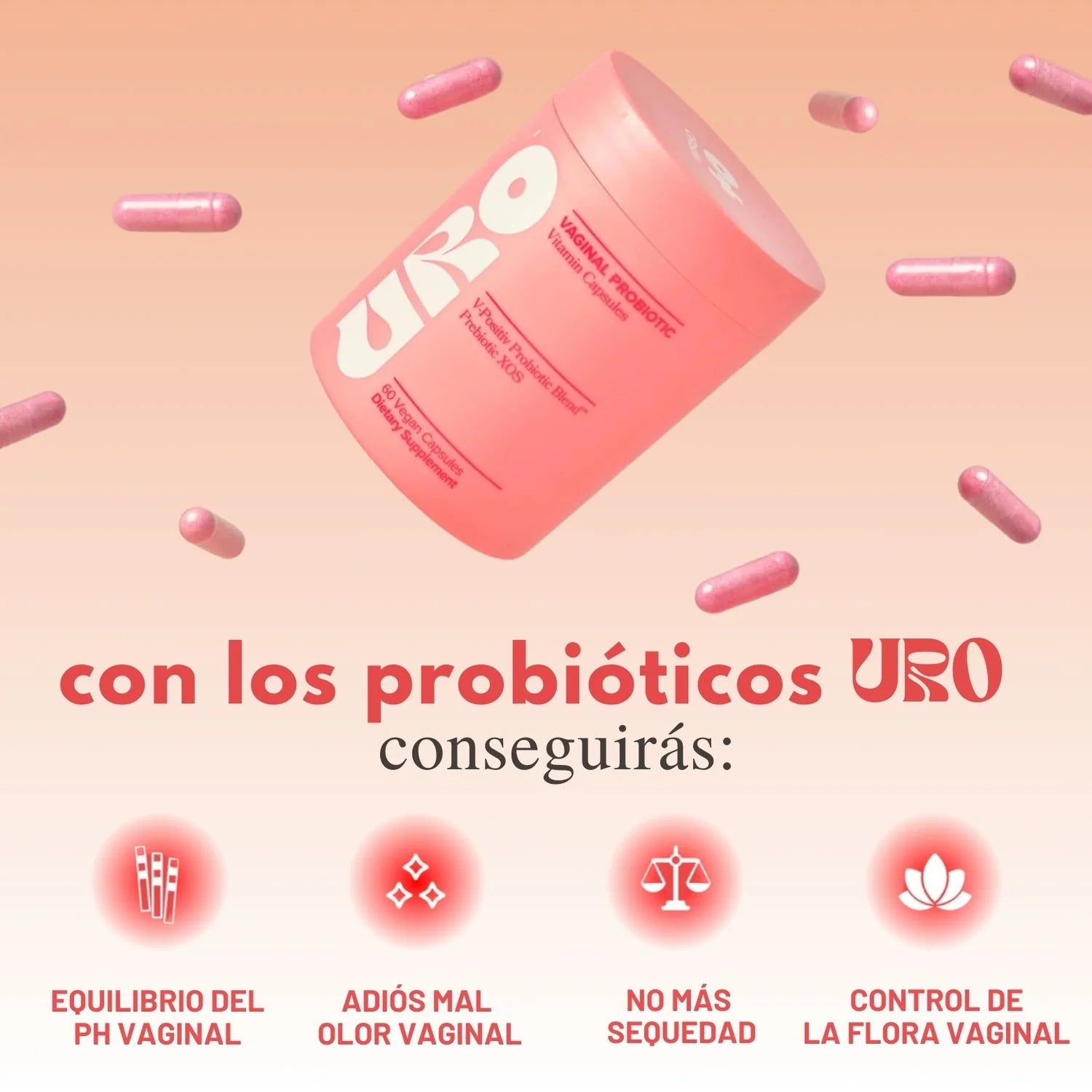 Encabezado
