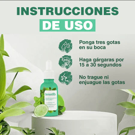 Encabezado